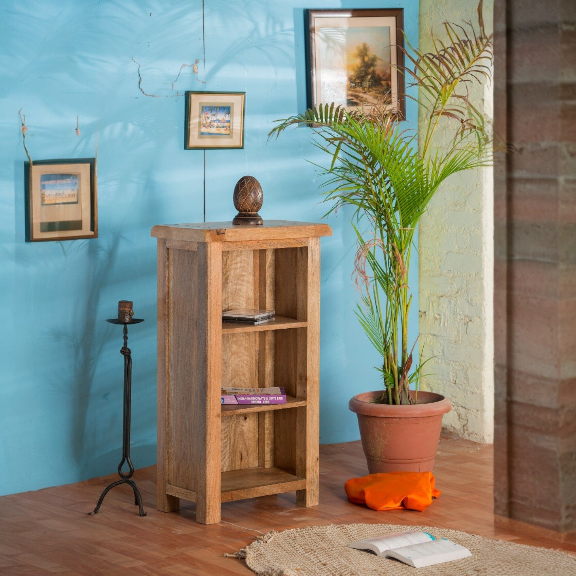 Odisha Small Bookcase